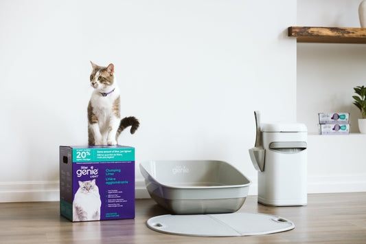 Litter Genie Light Clumping Litter